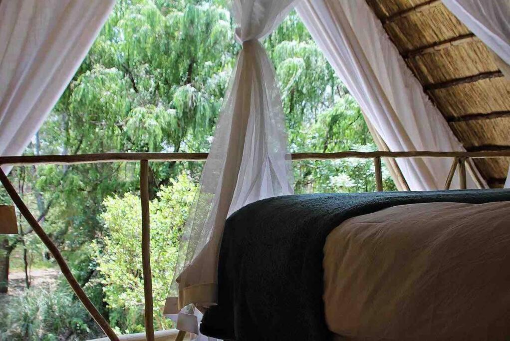 Hot Spring Bungalow In Limpopo Gemsbokfontein Extérieur photo