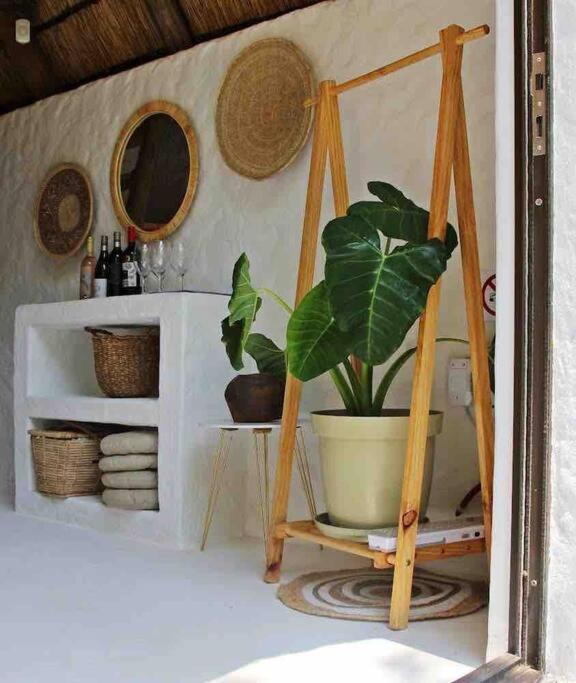 Hot Spring Bungalow In Limpopo Gemsbokfontein Extérieur photo